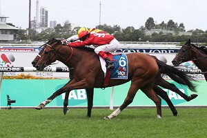 Volkstok'n'Barrell. RosehillGuineas. 22.03.15